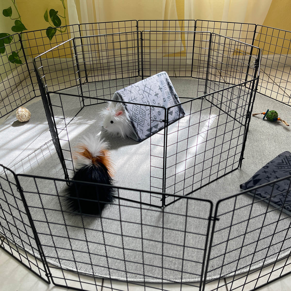 Portable Piggy Play Center Best GuineaPig Play Indoors Outdoors