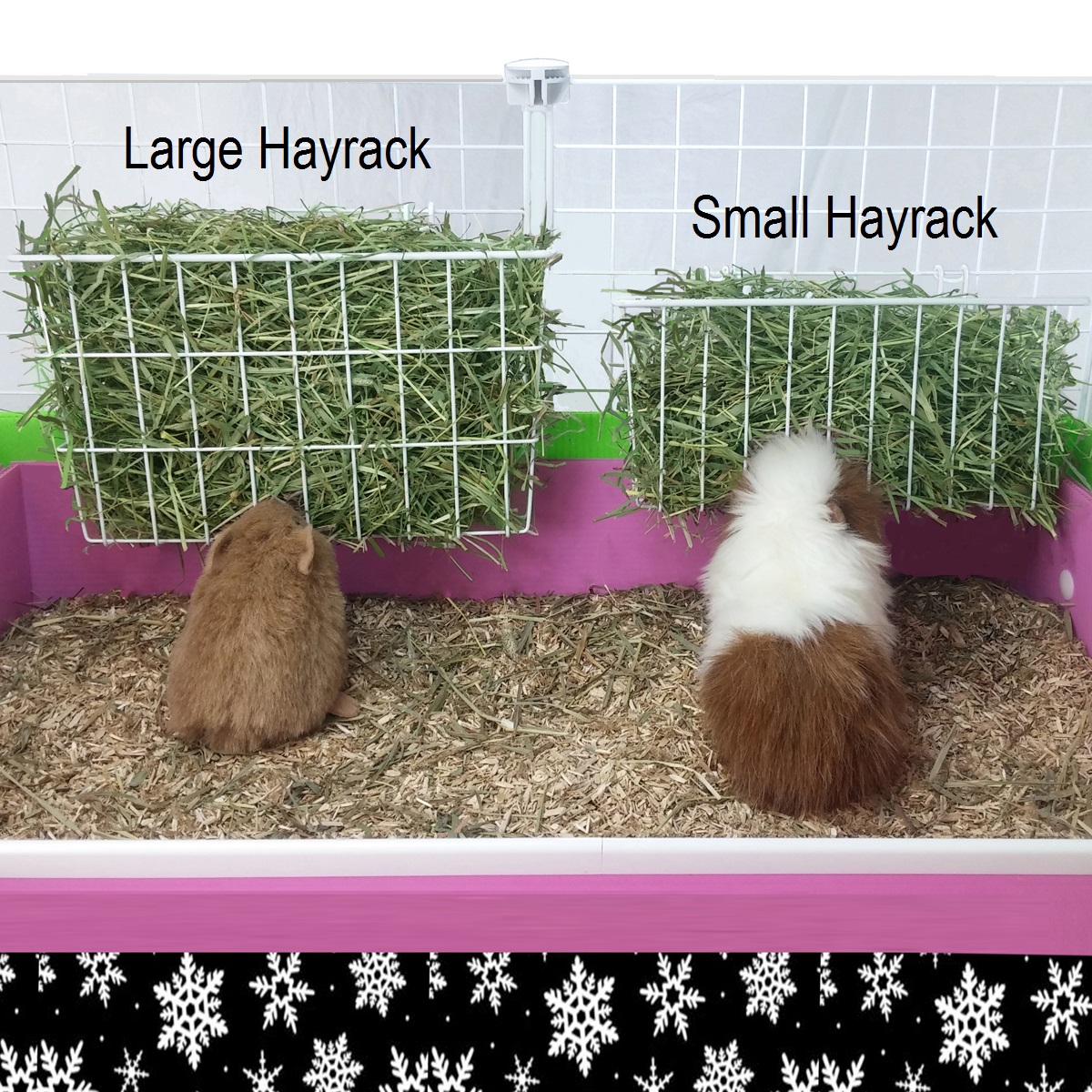 Small Animal 2024 Hidey House with Hay Rack