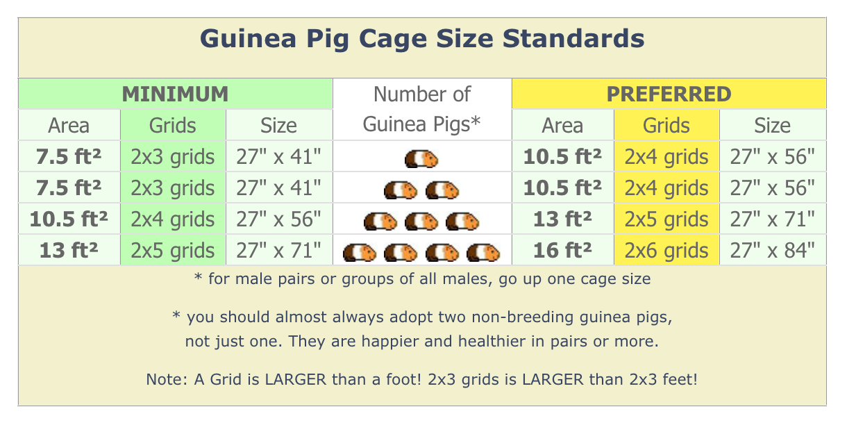 Guinea Pig Cage Size Standards Graphic