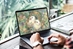 Guinea Pig art of Enchanted Garden Whimsy on a lap top