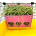 Hay Buffet in Pink filled with Hay