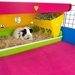 Hay Buffet in Lemon Yellow in a full Kitchen Suite by Cagetopia for guinea pigs