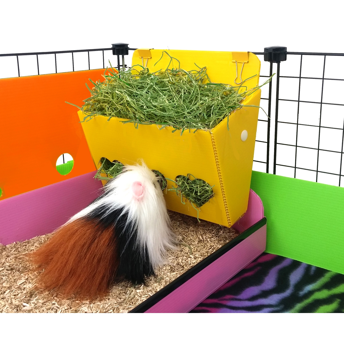 Hay holder for guinea pigs best sale