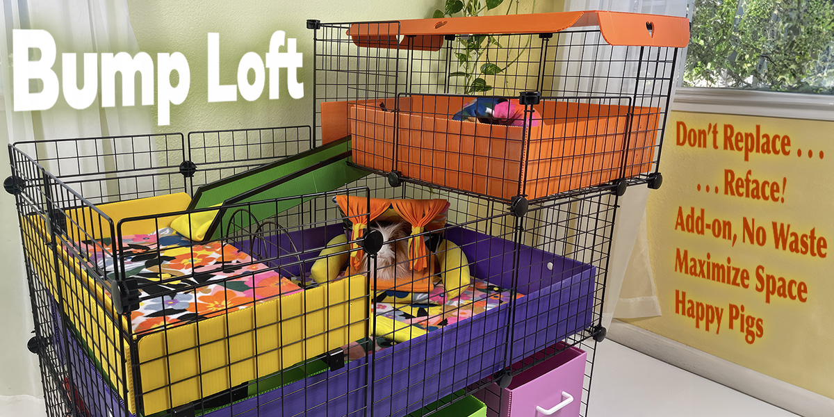 Cagetopia Bump Loft