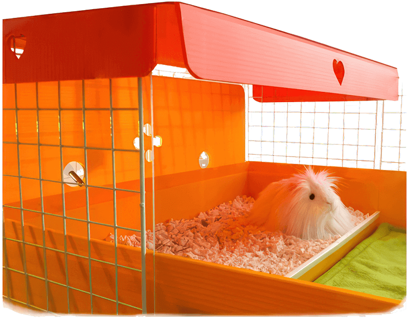 Mess free guinea pig cage best sale