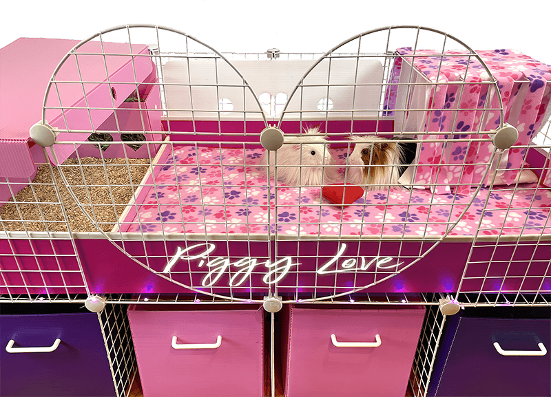 Large 2x4 Grid Cage with heart grids in the middle