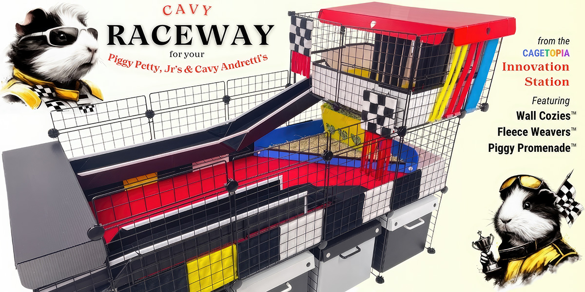 Cagetopia Raceway