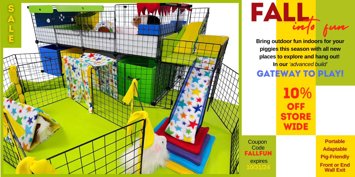 Fall into Fun Sale featuring our new Gateway to Play setup