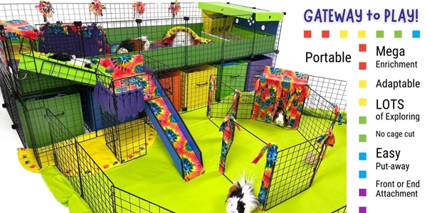 Gateway to Play setup