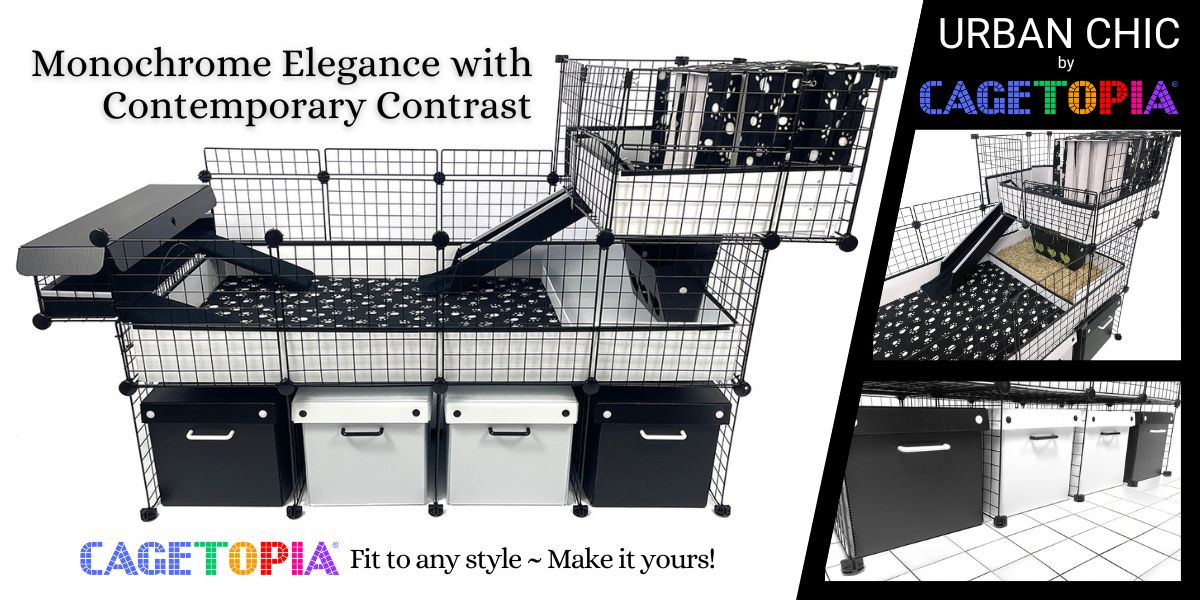 Urban Chic Cagetopia C&C Cages setup