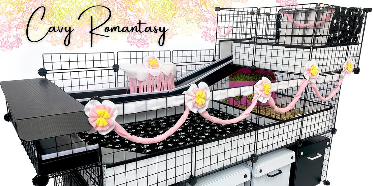 Cavy Romantasy Setup